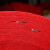 梦多福结婚赤いカレーペラット结婚祝祭用品一度は赤いカレント结婚式披露宴の道具展覧会开祝祭り大赤简易金具(约1ミリー)1メトル幅50メトルトル