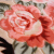 【京東好荷】カーリング客間洋風茶数赤カレンぺーぺージ毛布寝室ベドの前のフエルト家庭用結婚新中国式赤のバラ150 x 200 cm