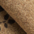 九洲鹿マット家庭用トイライト玄関ホノルマ50*80 cm